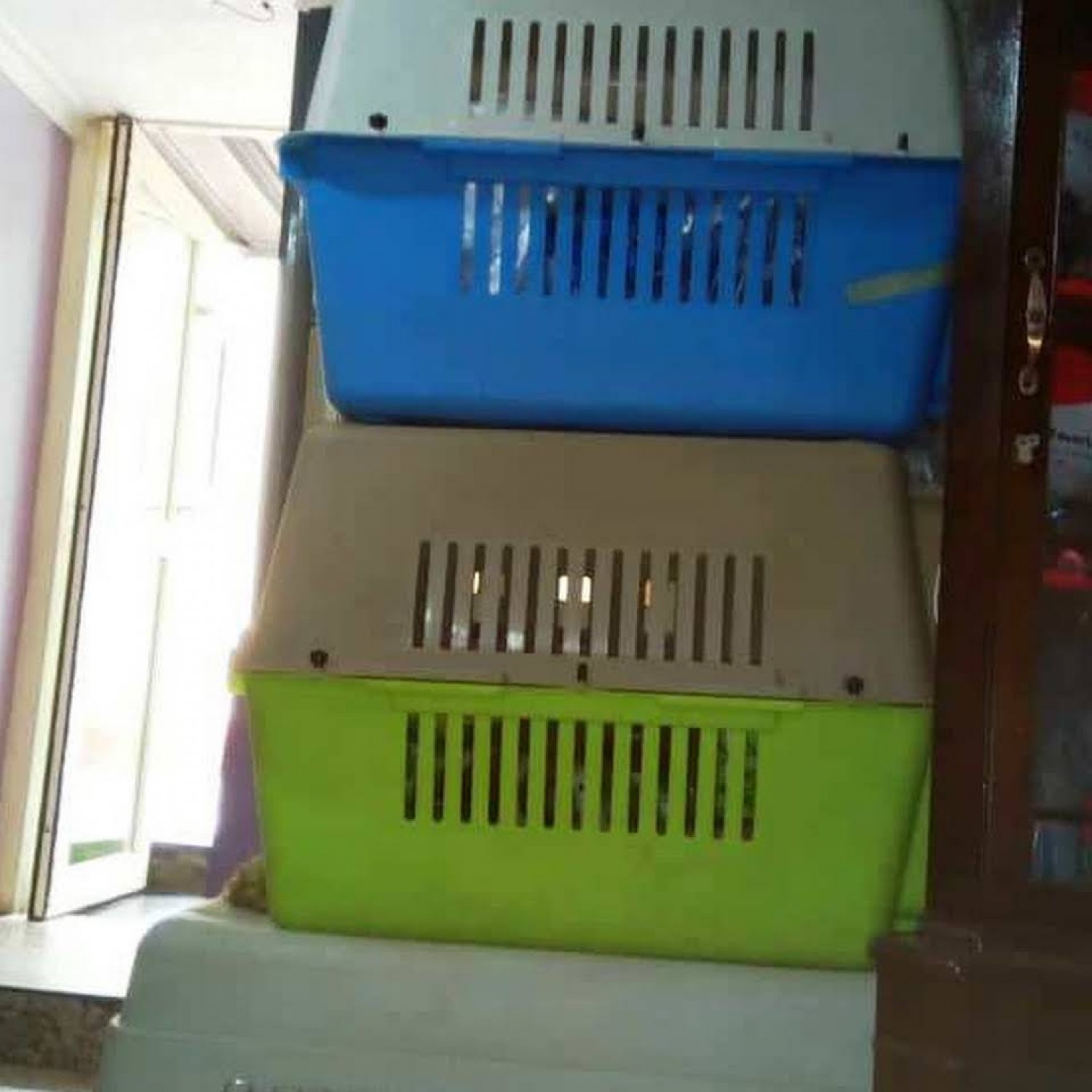 storage/files/ng/1312/8ed45882844971f8729c6a826115f5e2.jpg