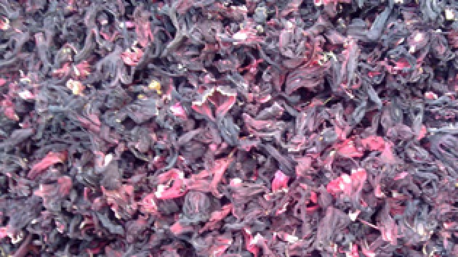 We Export Dry Ginger, Dry Hibiscus Flowers and Sesame seeds