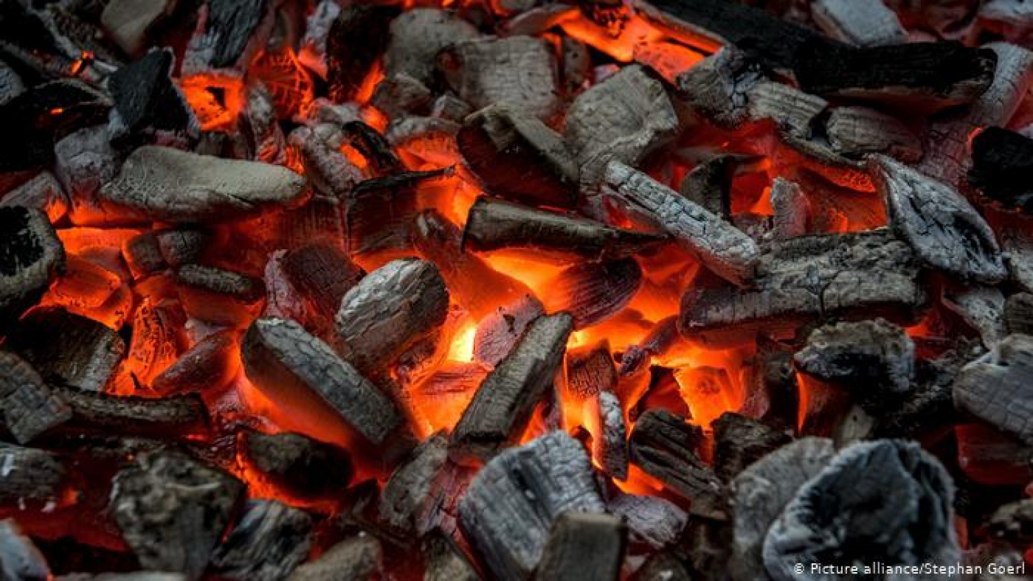 We major in exportation of charcoal in larger quantity