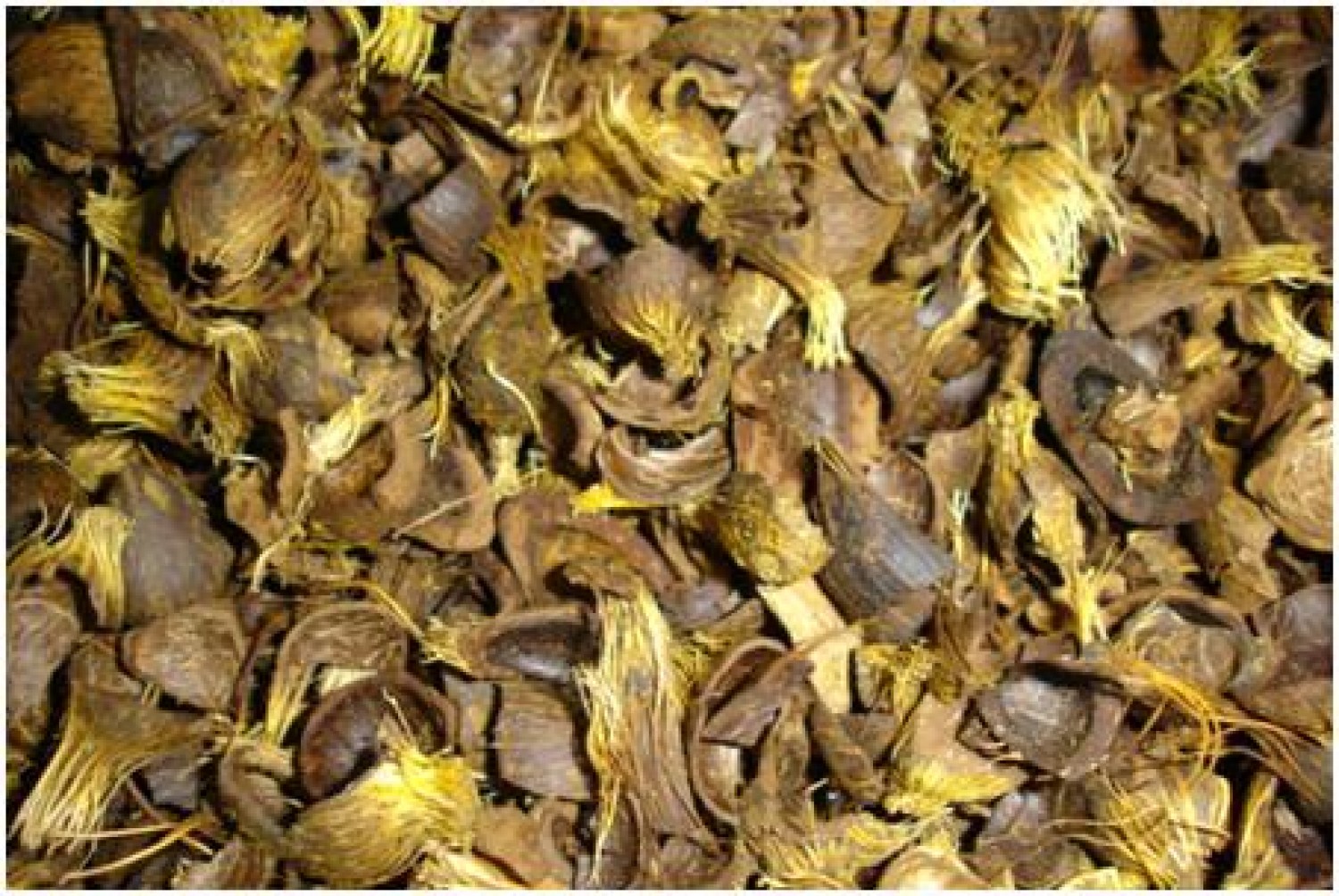 We Export sesame Seeds And palm kernel Shell