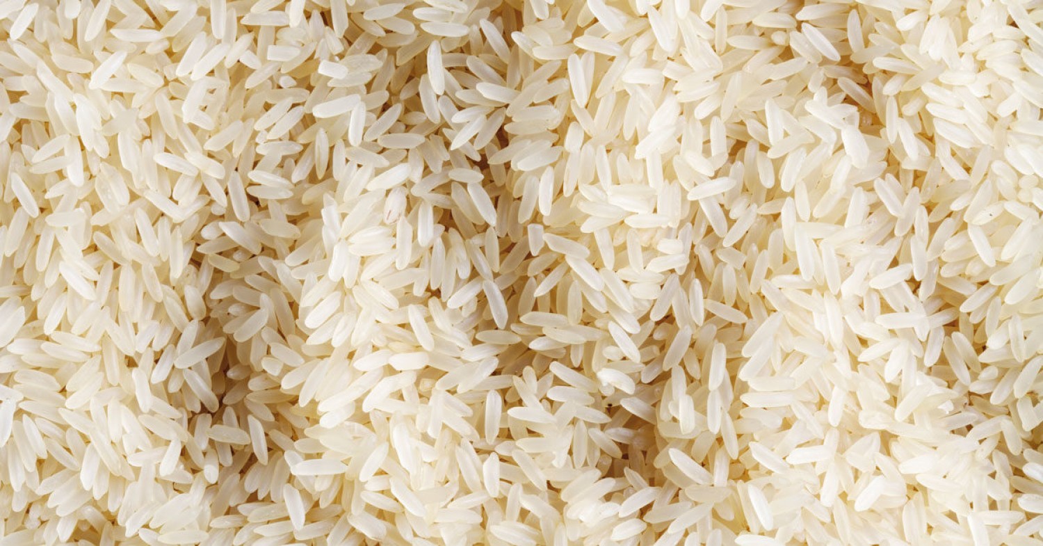 Olaoba Farm specializes in rice production and consultancy