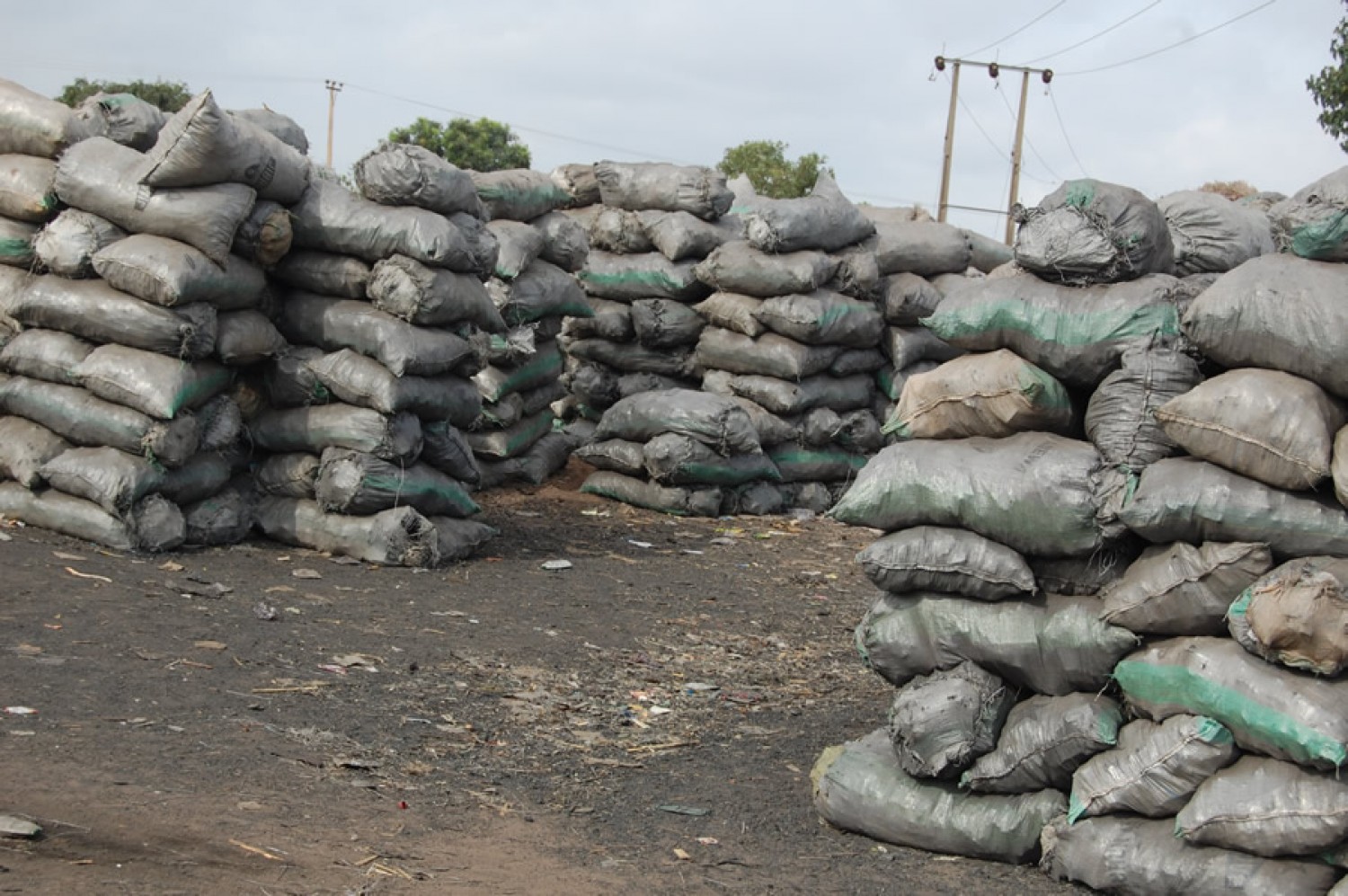 Wood Charcoal and Arabic Gum Available for Sale